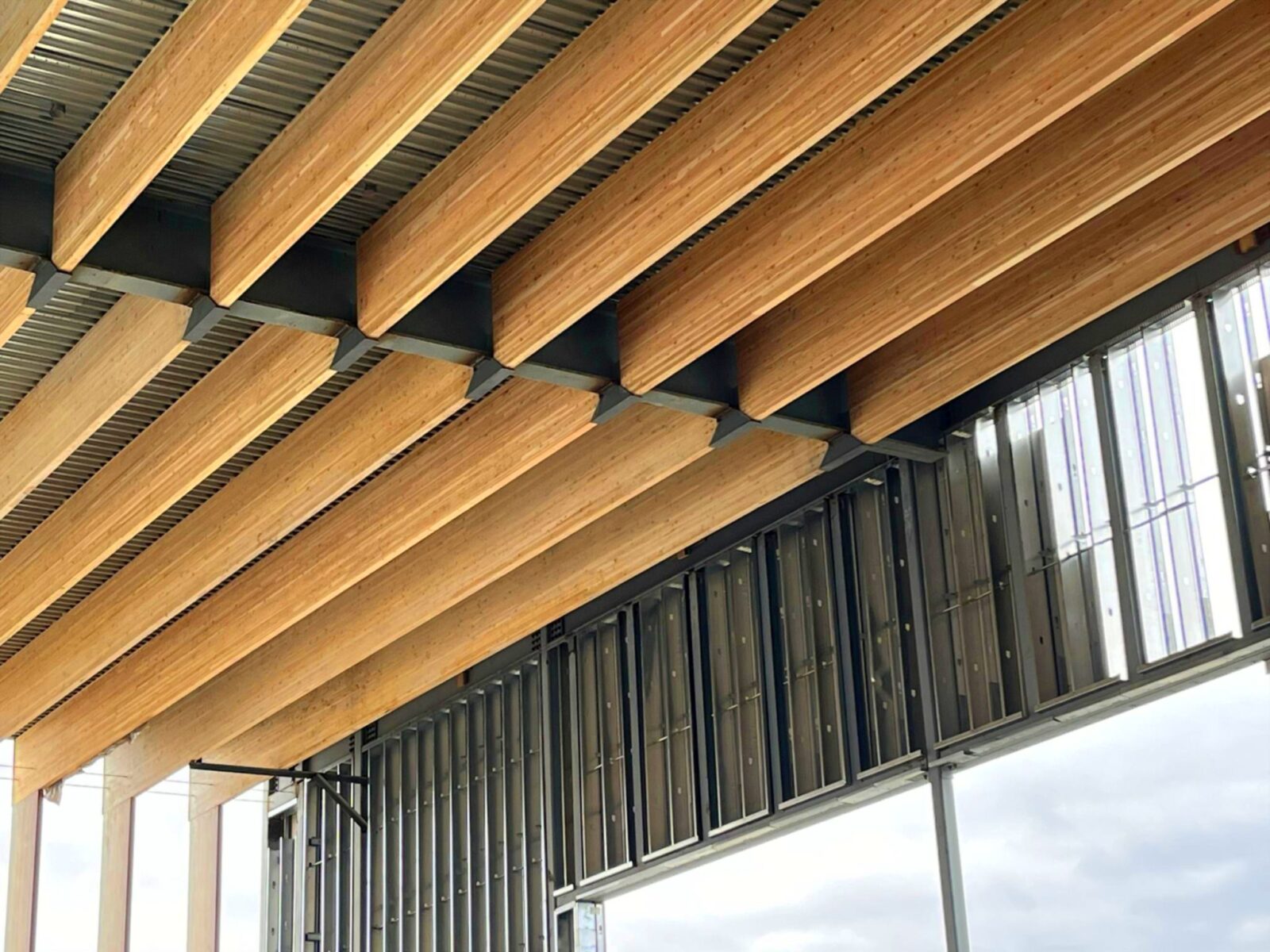 Glulam purlins